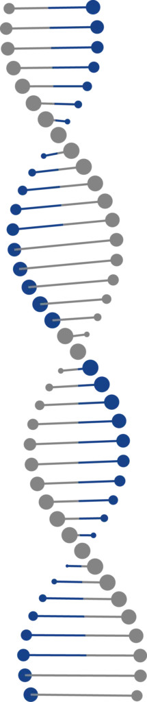 dna strand